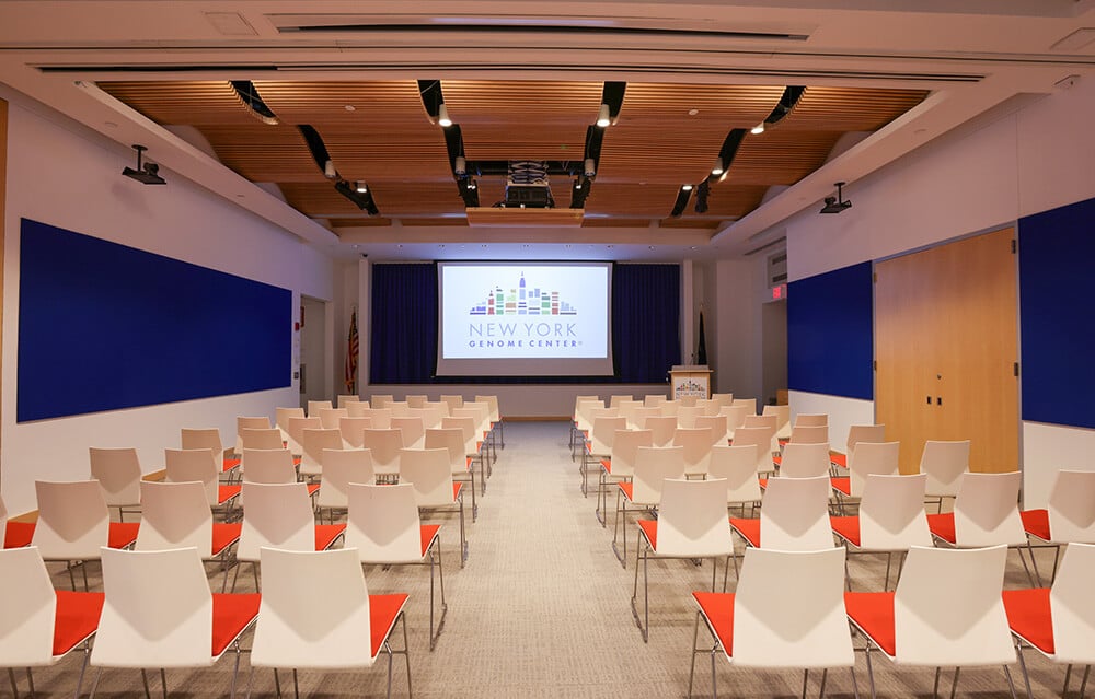 Empty presentation space with a capacity of 64 at NYGC