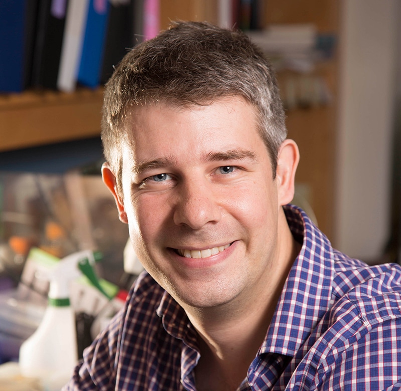 Stephan Sanders headshot